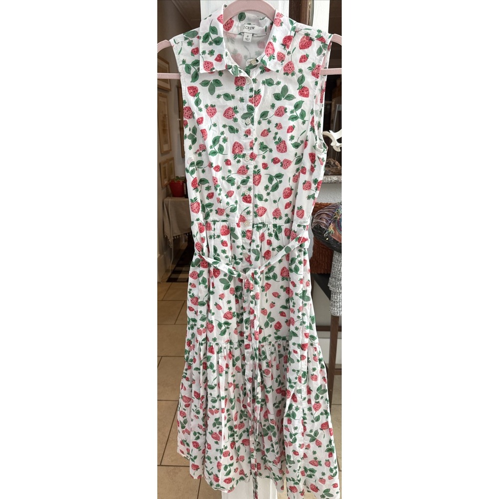 J.Crew Womens Strawberry Print Sleeveless Tiered Maxi Dress Size 2